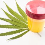 SYNTHETIC URINE TEST – IT IS EASY TO PASS