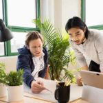 Immigration Consultant