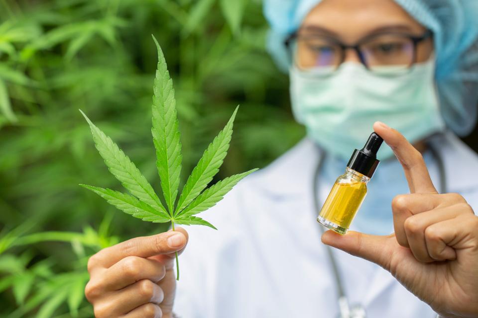 CBD oil benefit towards all living being