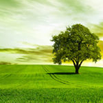 investing in land.