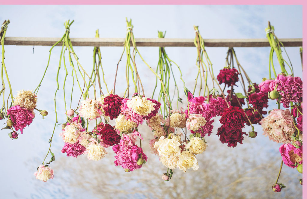 Tips In Taking Care Of Bouquet of Dried Flowers