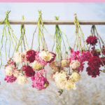 Tips In Taking Care Of Bouquet of Dried Flowers
