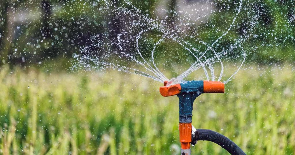 How to Select the Best Watering System for Your Garden