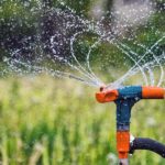 How to Select the Best Watering System for Your Garden