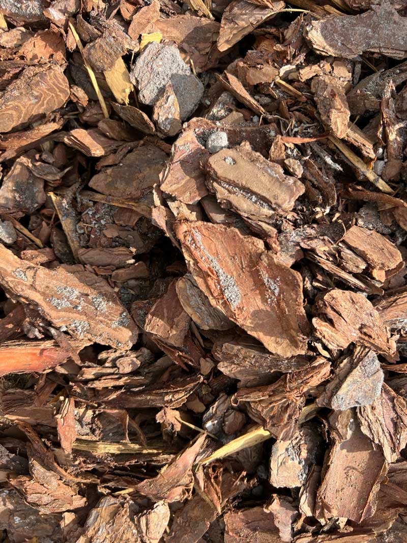 wood chip