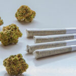 does delta 8 get you high