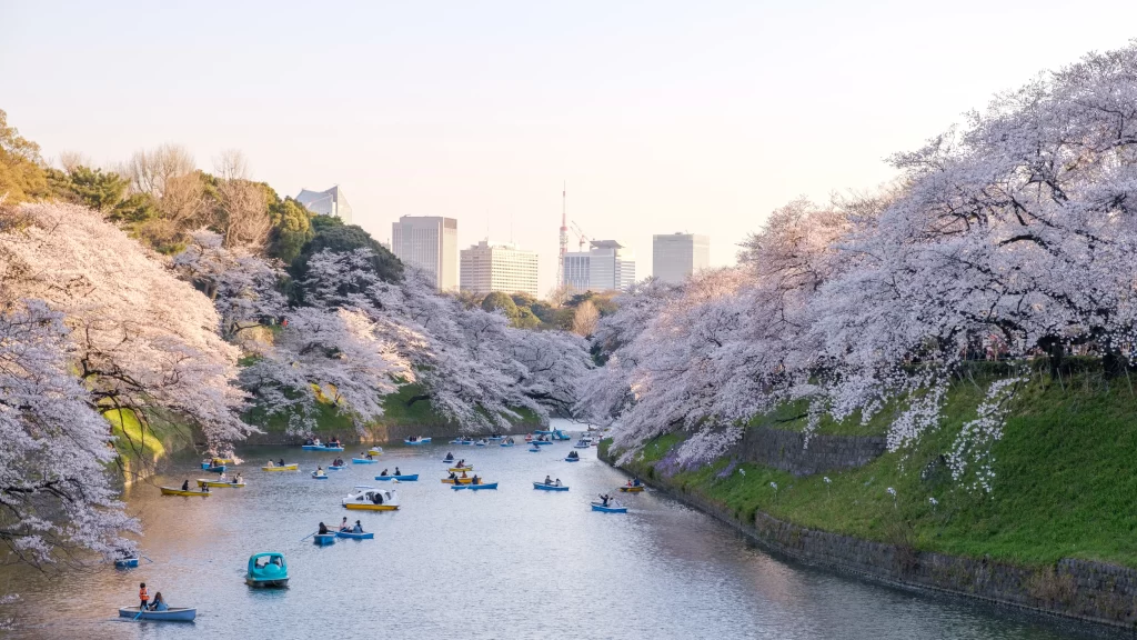 From Tokyo to Timbuktu: Essential Tips for Safe and Smooth International Travel