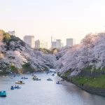 From Tokyo to Timbuktu: Essential Tips for Safe and Smooth International Travel